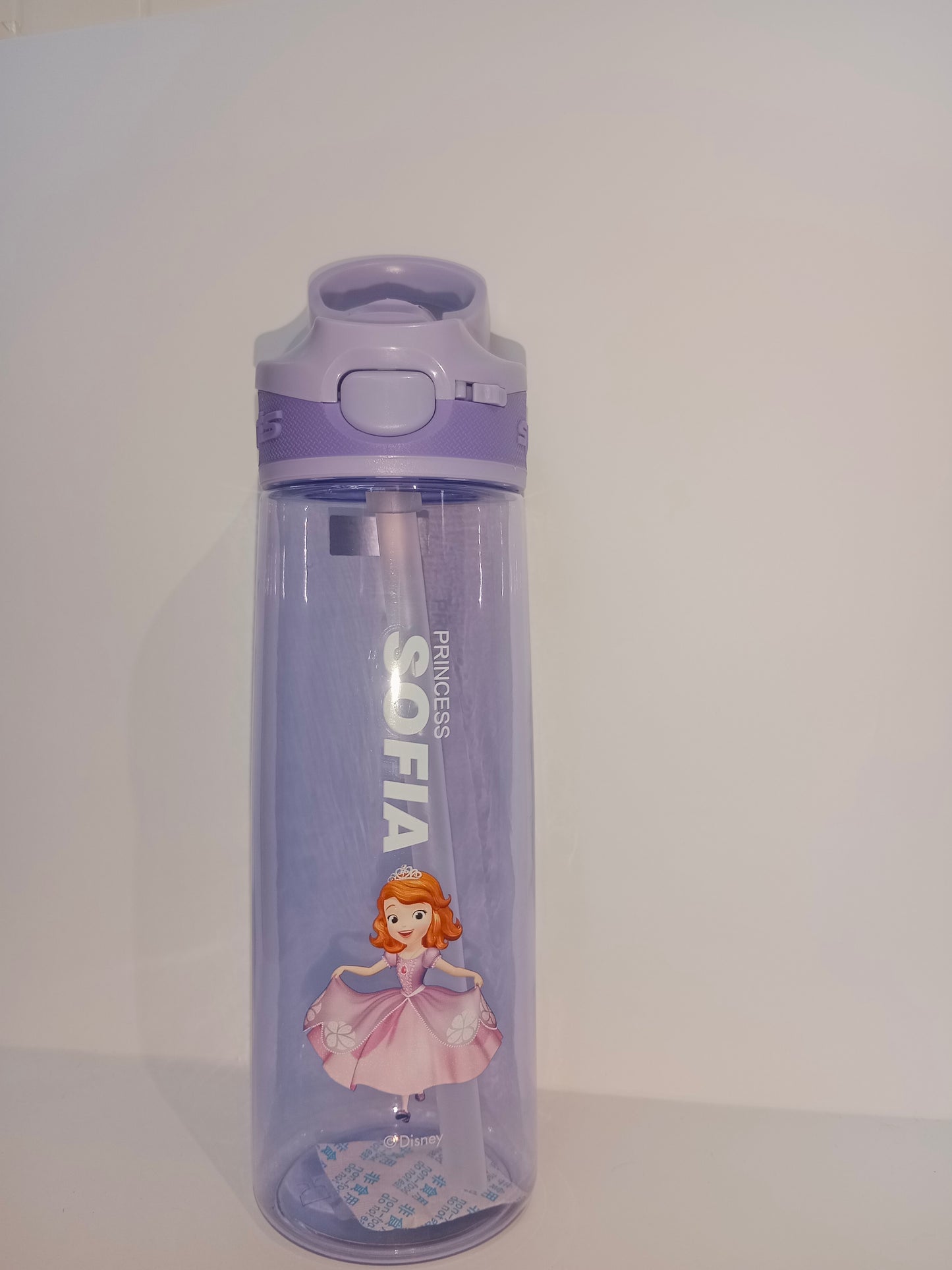 Marvel Water bottle for kids-Captain America and Sofia Sports Water Bottle